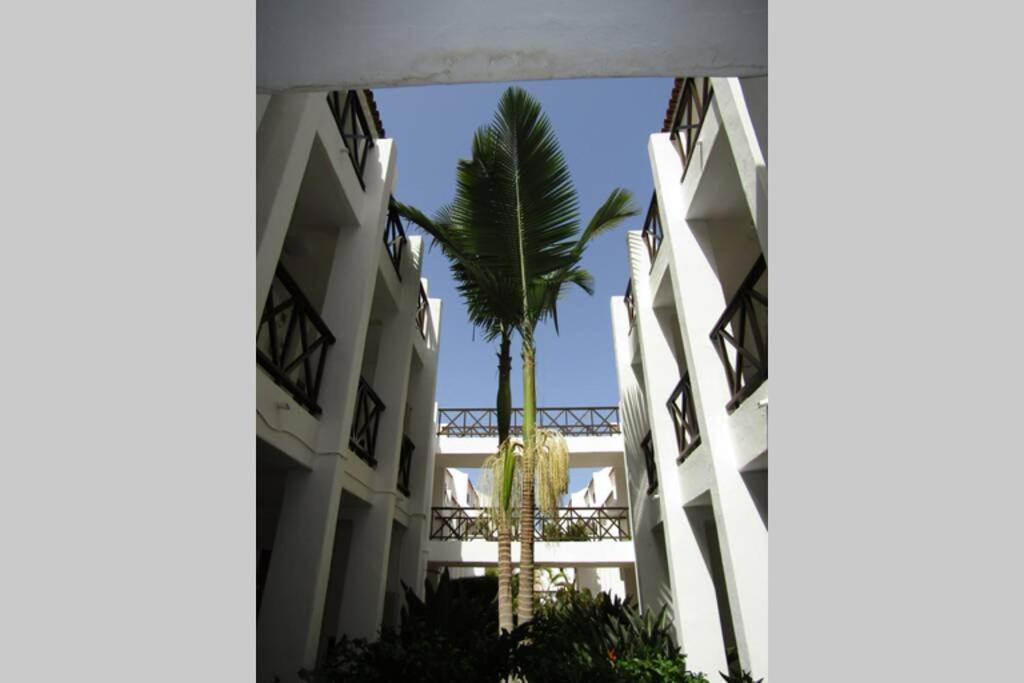 2 Bedrooms Playa Las Americas Parque Santiago I Heated Pool Playa de las Américas Kültér fotó